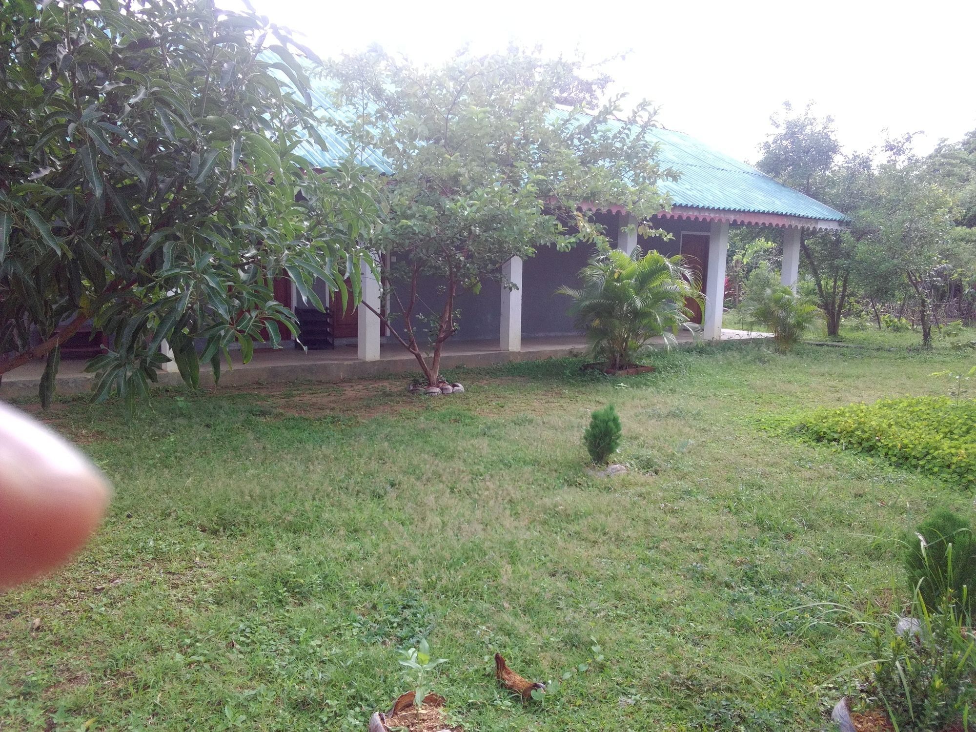 Sinhagiri Villa Sigiriya Exterior foto
